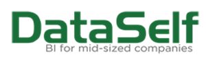 DataSelf Logo