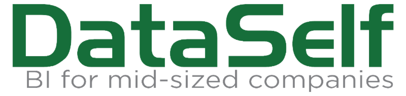 DataSelf BI